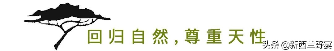 新西兰南半球最高多少米,新西兰的自由与浪漫