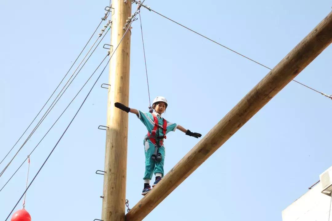 博实乐碧桂园国际学校学费多少,胡润百学国际学校2023全榜排名