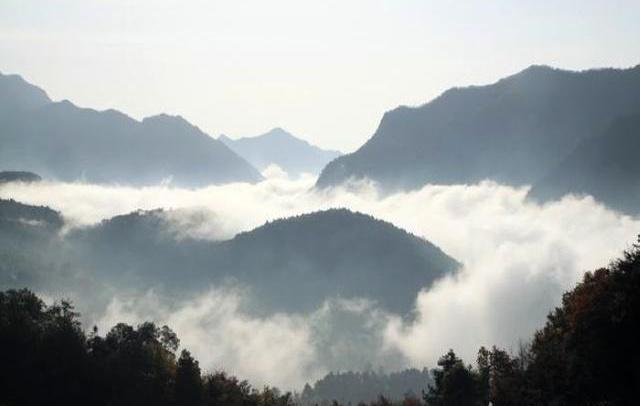 放假了，就去旬阳羊山吸氧、养心，洋洋自得拍“抖音”吧！