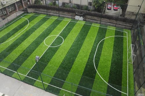 德国足球联赛安排,德国五人制足球全场回放