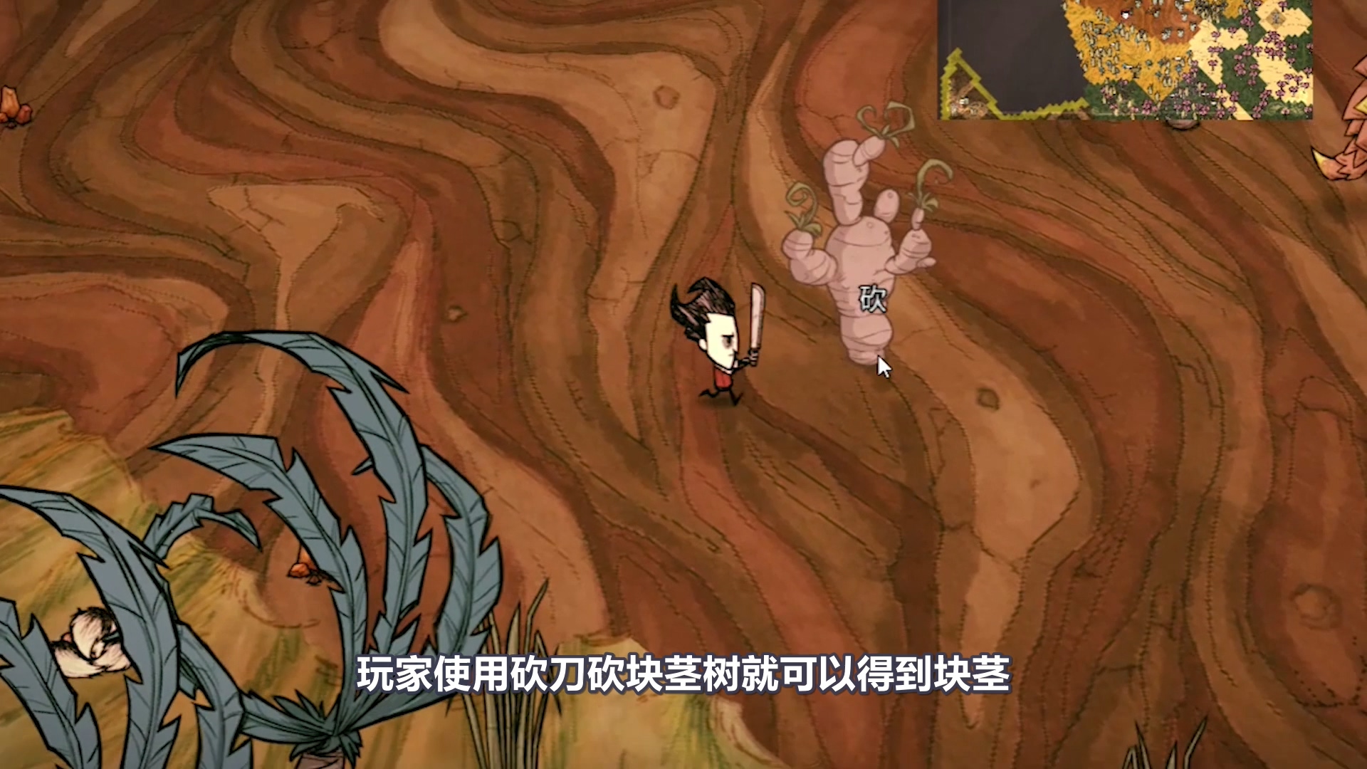 饥荒猪屋怎么才能防止被烧,饥荒海难中毒多久会自动解毒