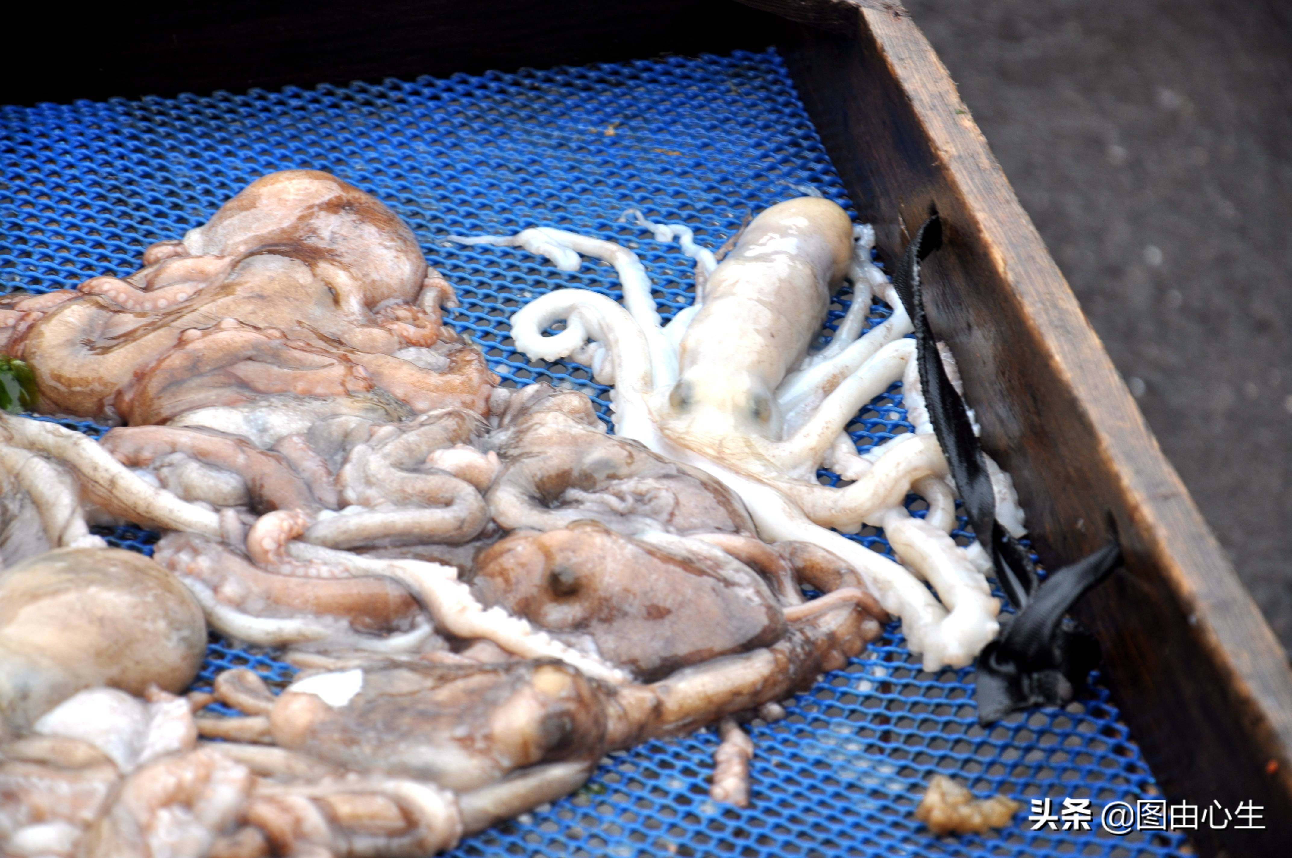 节后生意开忙，青岛批发大虾老板凌晨3点起床，十年买了三套房