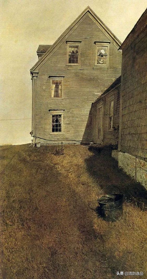 类似安德鲁怀斯的画家,安德鲁怀斯画家视频