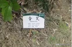 物业亲情化服务方案,物业人文关怀服务