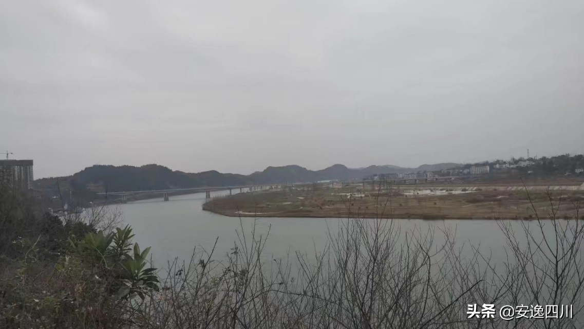 四川南充女孩怀念奶奶：寄天堂花开的地方