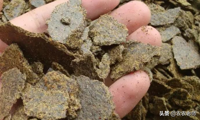 沤花生麸水肥可以加复合肥吗,怎么沤制好花生麸液肥