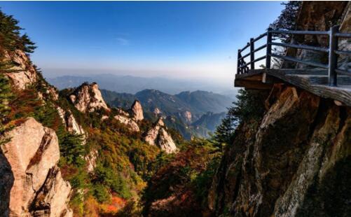 平顶山主要靠什么发展,平顶山发展靠什么