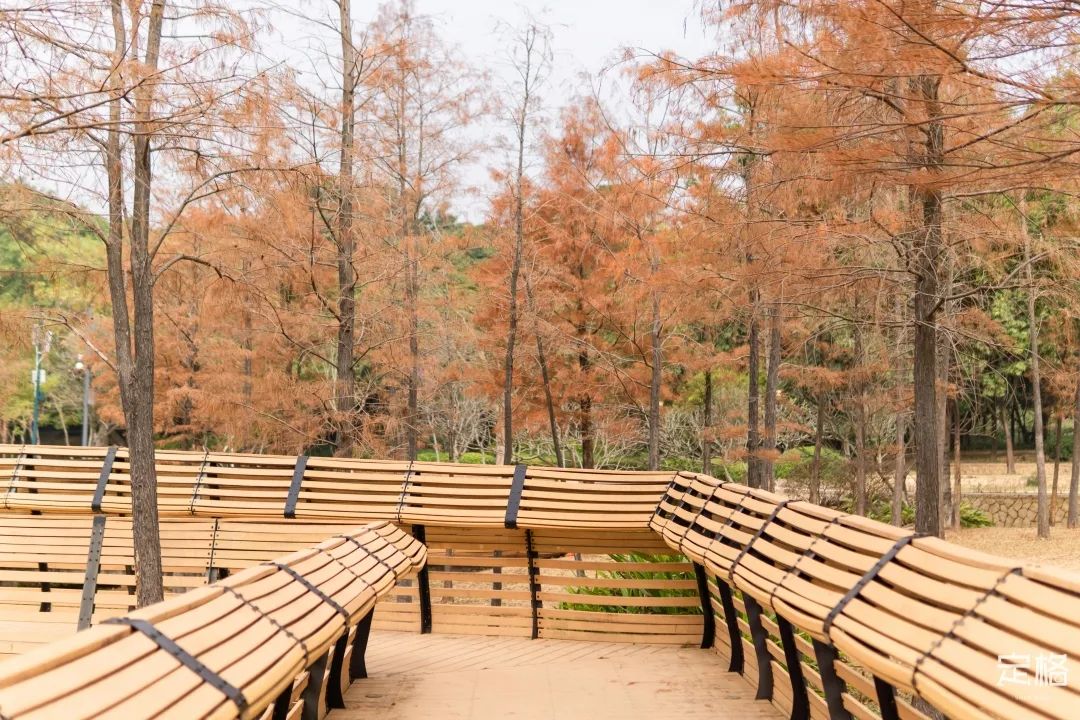 莲花山为啥一夜就火了,莲花山景区
