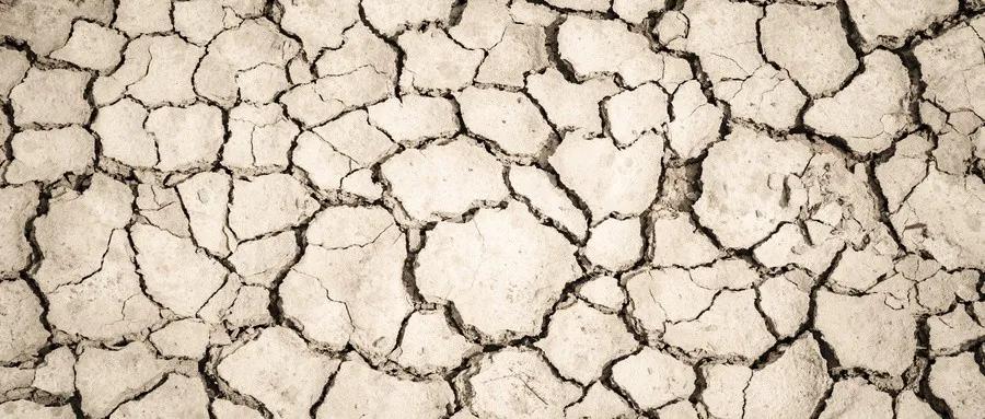 从土壤角度分析如何解决土壤危机,土壤如何改善