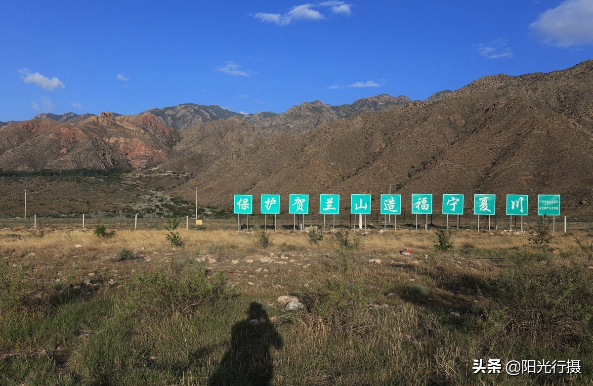 静谧森林和沙漠交界处,静谧森林红色石头