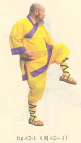 少林心意门拳视频教程,少林长护心意拳图解