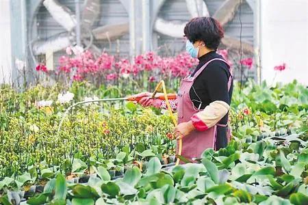 关于脱贫攻坚决战决胜之年的文章,书写奋进新时代的优秀答卷