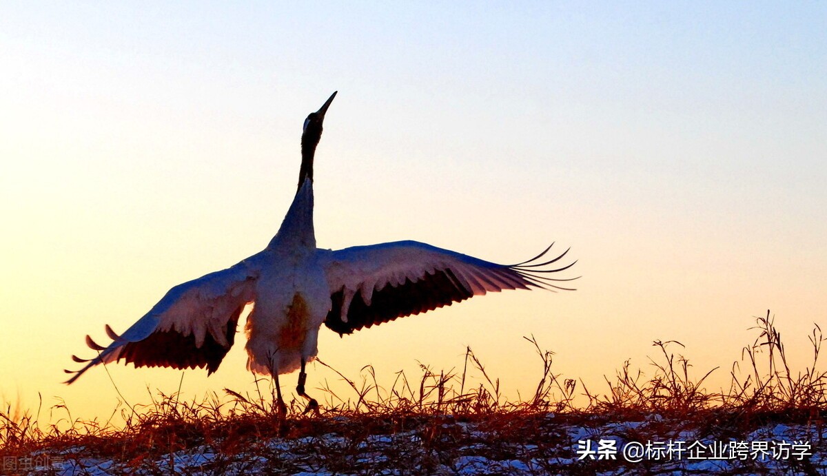 小米的互联网思维及其产品与服务,小米与互联网思维