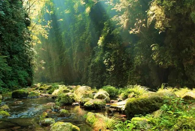 在宜昌的路上最美的风景,去感受大宜昌的美