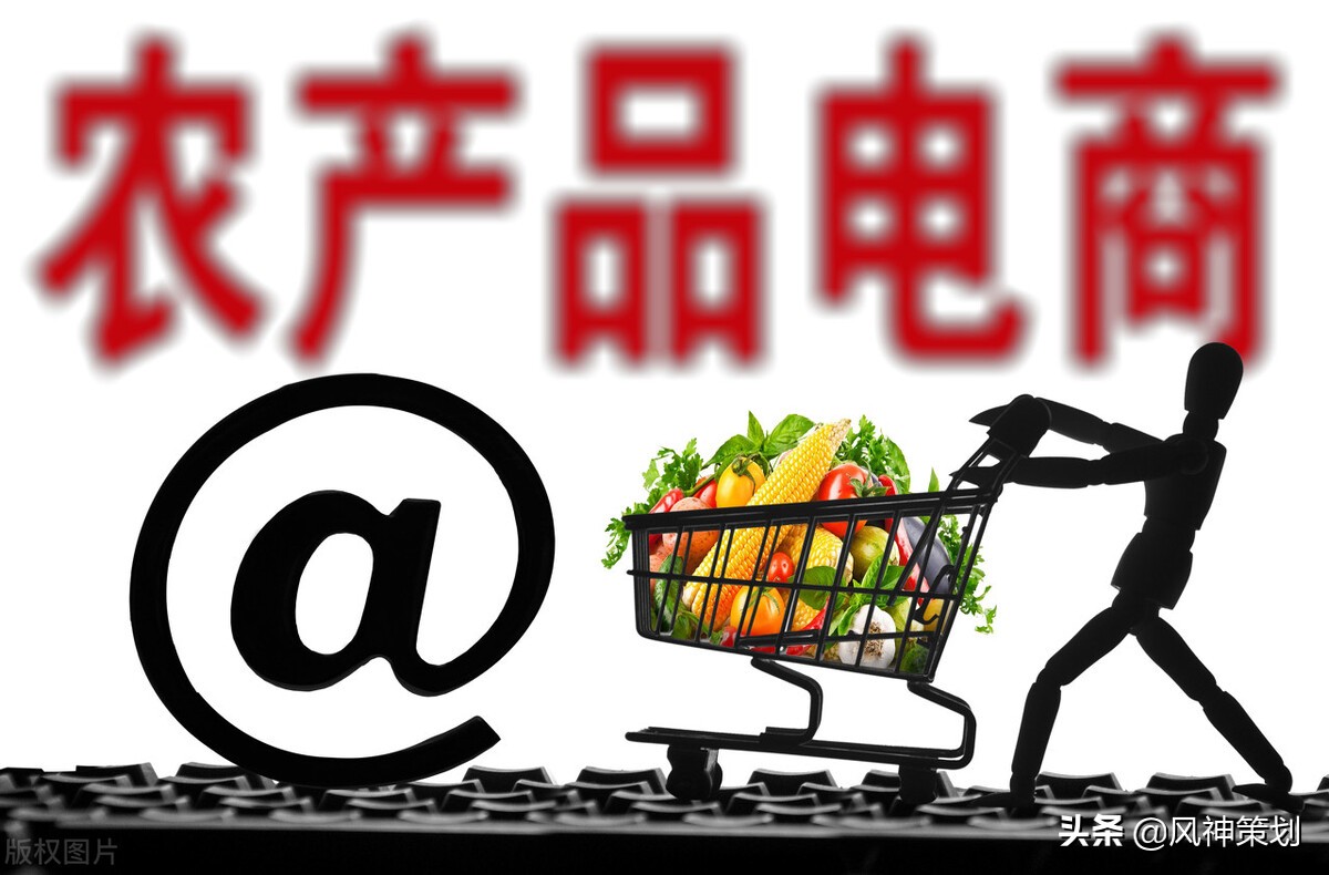 新电商法对农村电商的影响,农村电商发展及运营模式