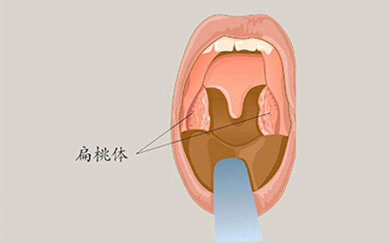组织器官部分缺失是什么,我们缺失器官可以活多久