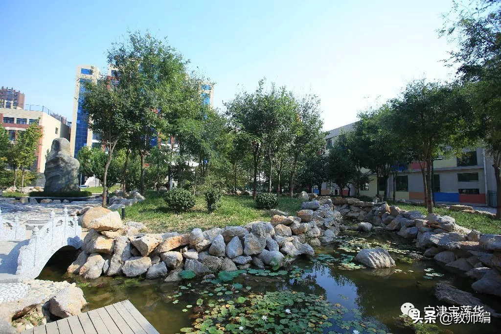 德州经济开发区教师招聘,德州跃华学校教师招聘