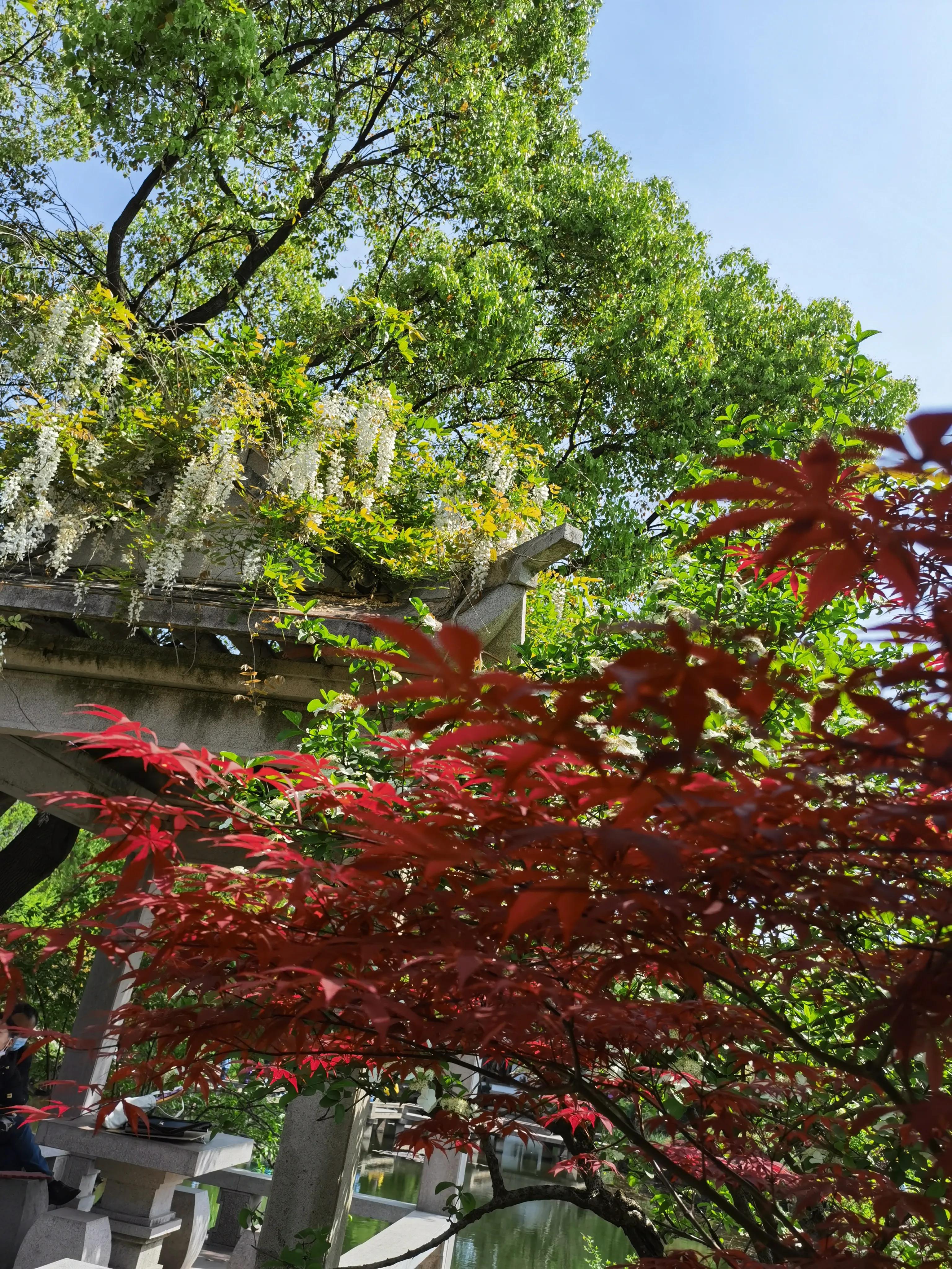 太仓南园在哪里,南园太仓