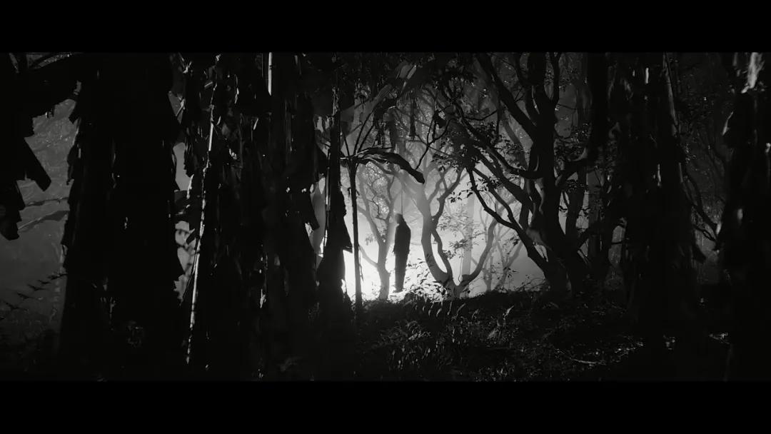 中国悬疑电视剧排行榜前十名,伪装者潜伏在黎明之前