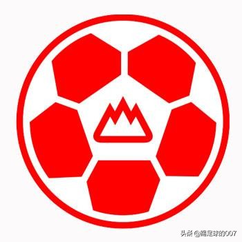 鲁能泰山队徽最新,泰山队历史队徽