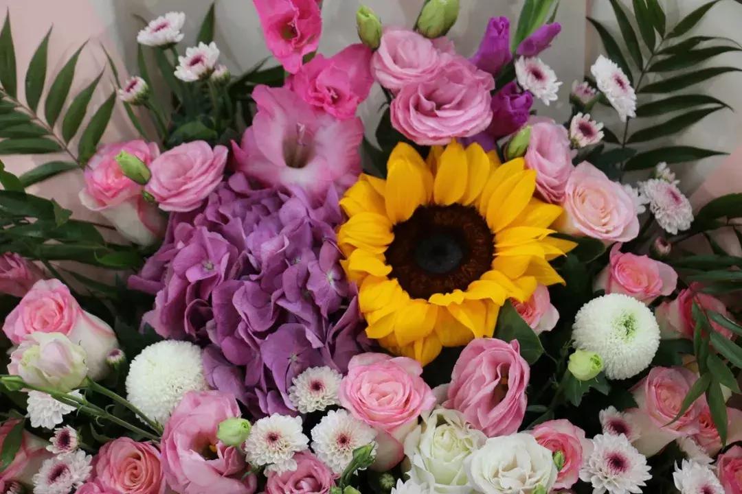 郑州三大花卉市场都是哪个,郑州哪个花卉市场最全