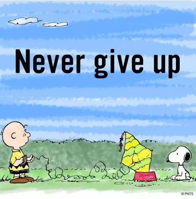 最会赚钱的狗排行榜,全世界最赚钱的狗