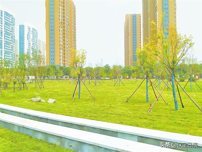 保定市3月份解决的民生实事,保定32项民生实事投票结果