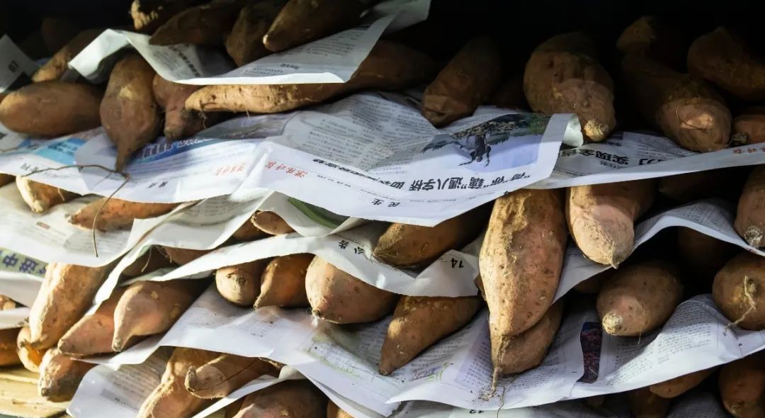 冬天的四大美食烤蜜薯糖炒栗子,冬日必吃烤红薯糖炒栗子奶茶