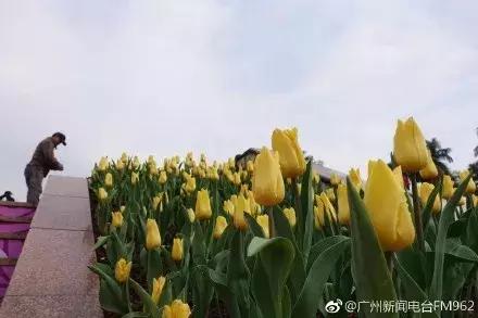 春节游玩攻略正式上线,春节嗨玩攻略