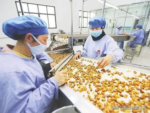 最适合的农村小本创业的4种项目,推荐6个适合在农村创业的好项目