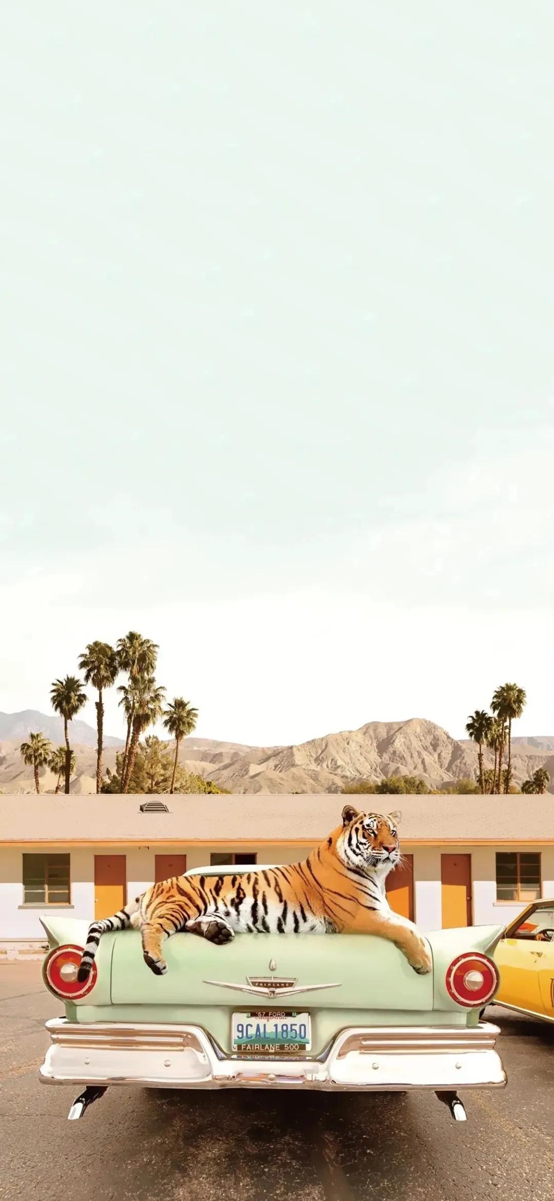 高清壁纸全屏无水印原图,iphonexsmax壁纸原图高清无水印