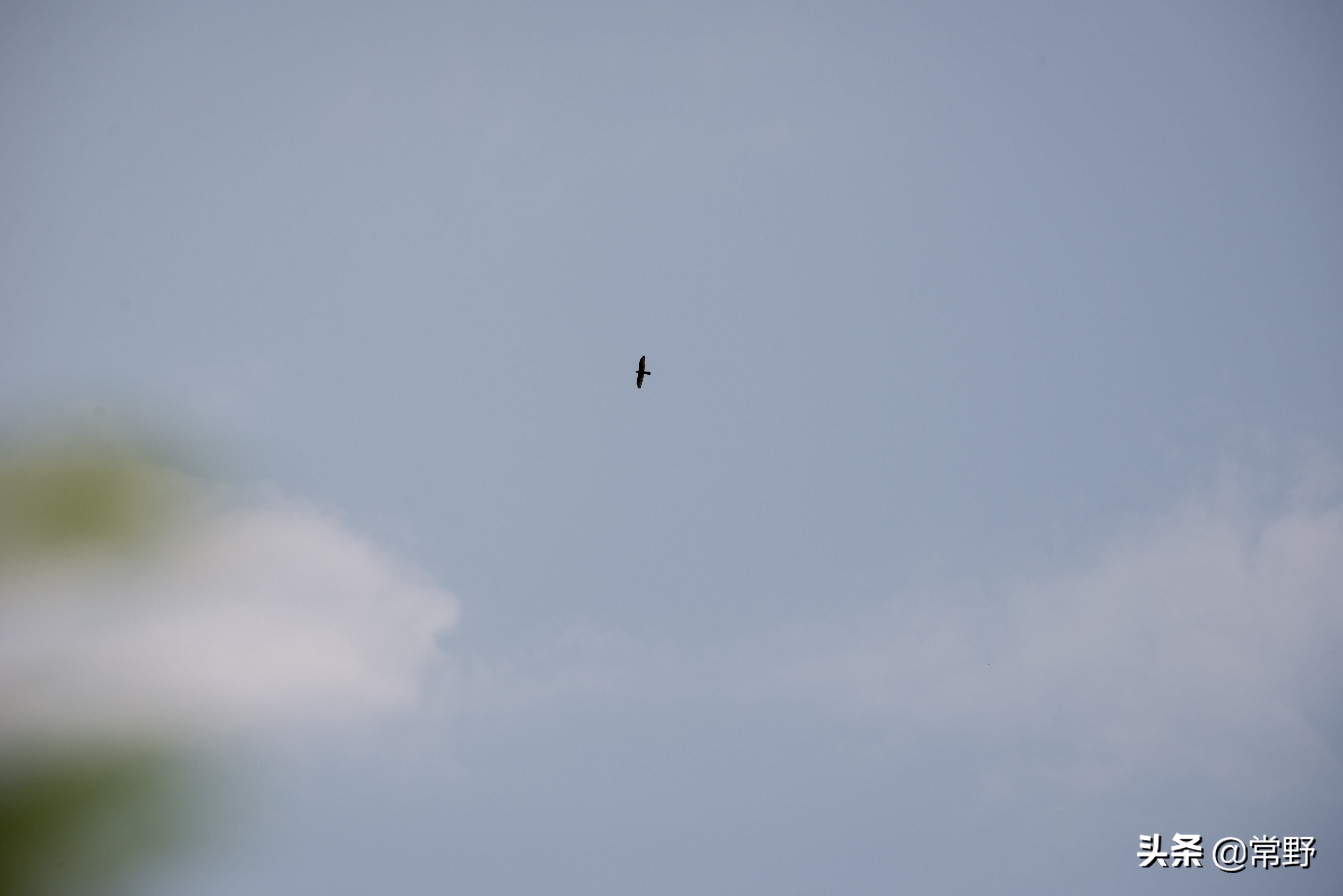 长沙谷山为什么叫谷山,长沙郊野公园