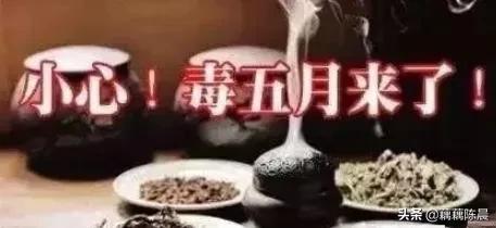 五毒月里九毒日，我有艾草我不怕！