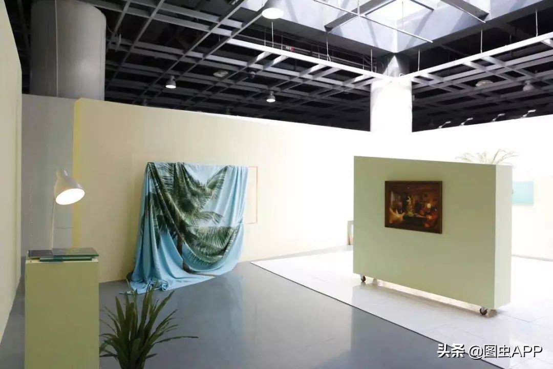 图虫opensealab摄影,图虫看动物世界系列