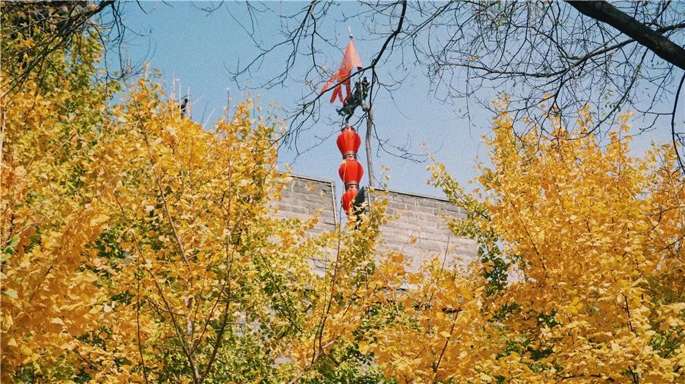 西安八月约会最佳地点,西安周末情侣最适合约会的地方