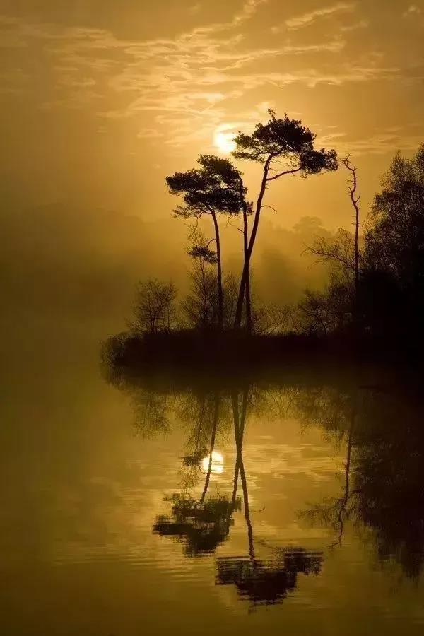 描写风吹竹叶的诗句,风吹竹叶的诗句