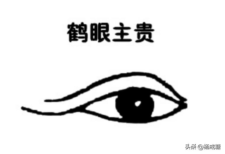 从古人角度解锁单眼皮男星魅力之谜：4眼8神，眼型决定性格有彩蛋