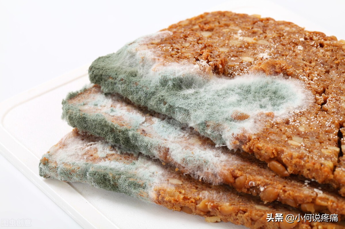 隔夜菜会致癌科学来告诉你真相,隔夜菜能不能吃致癌