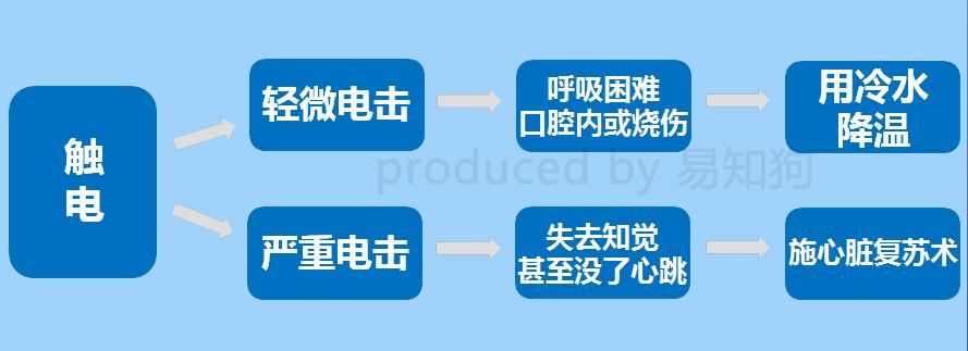 居家狗狗生活训练,日常护理狗狗皮肤不瘙痒