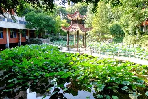 重庆一中名校联中,重庆名校