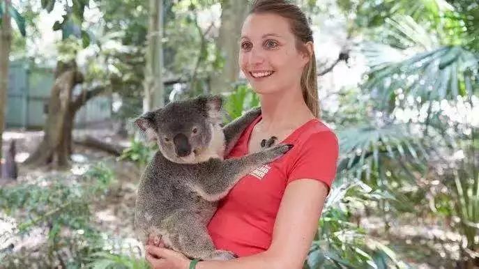寻找幸运锦鲤活动在哪,寻找锦鲤
