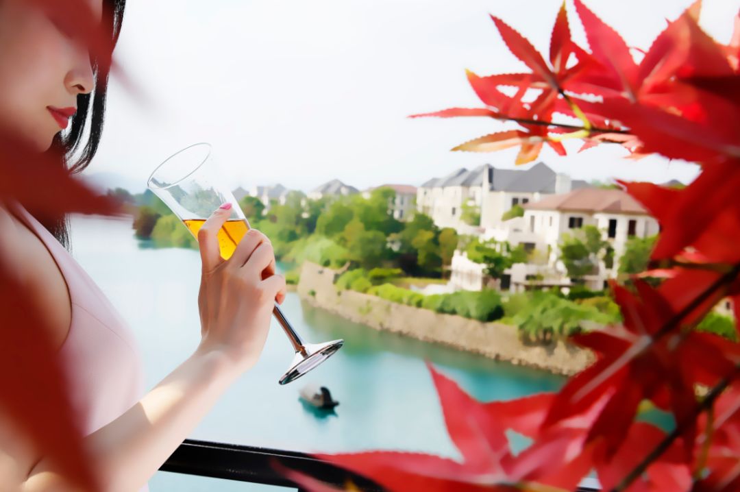 致中和国养国际金奖2012珍藏版,致中和中华老字号酒配料