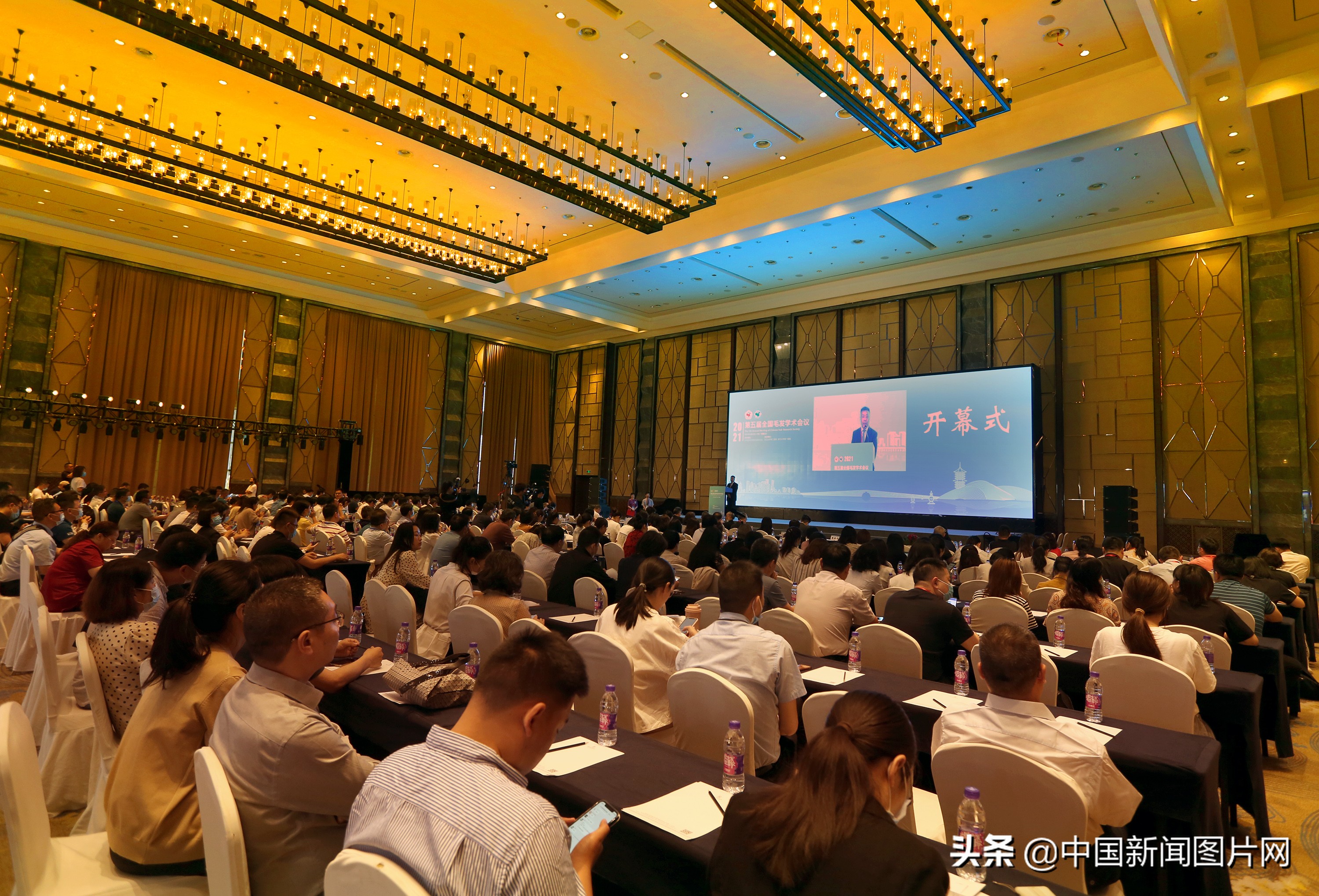 毛发学术会议,全国毛发学术研讨会