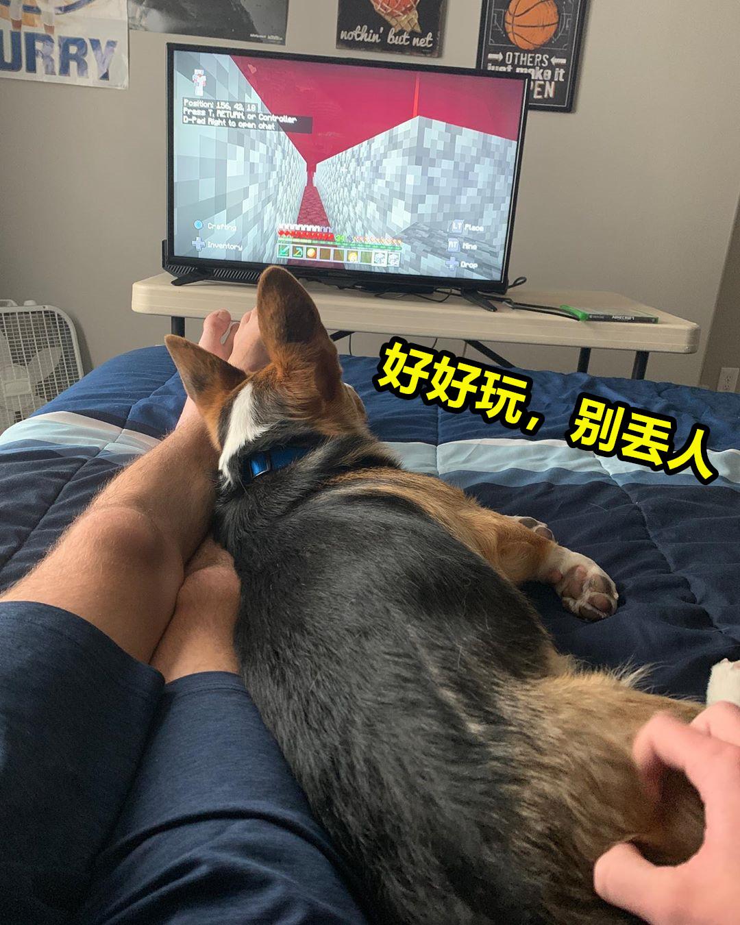 我的世界宠物养殖方法 (我的世界推荐养的宠物)