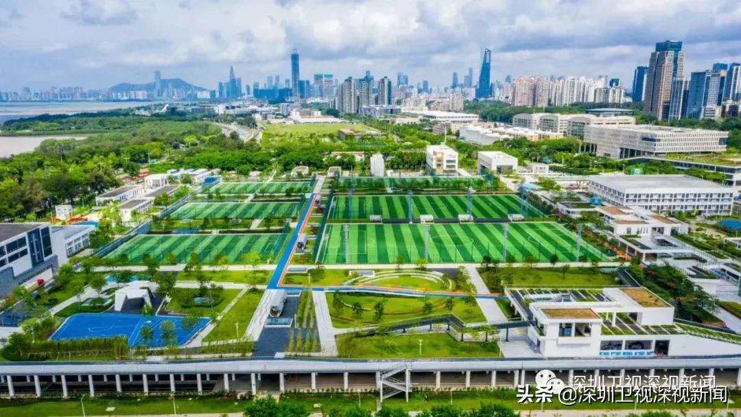 市长覃伟中任组长！深圳成立这个领导小组，目标是足球