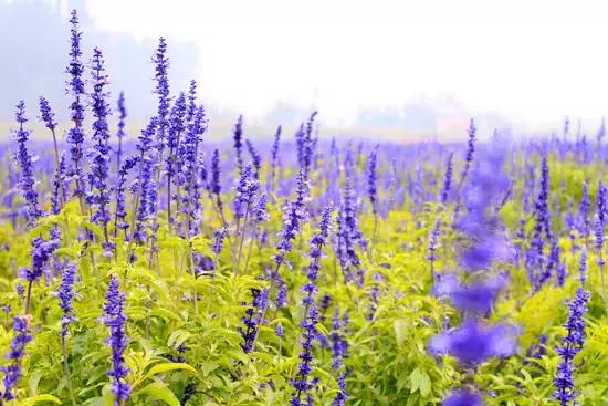 广州比较适合年轻人去的地方,广州最适合年轻人去的地方