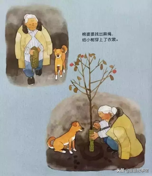 棉婆婆睡不着绘本作者,棉婆婆睡不着绘本解析