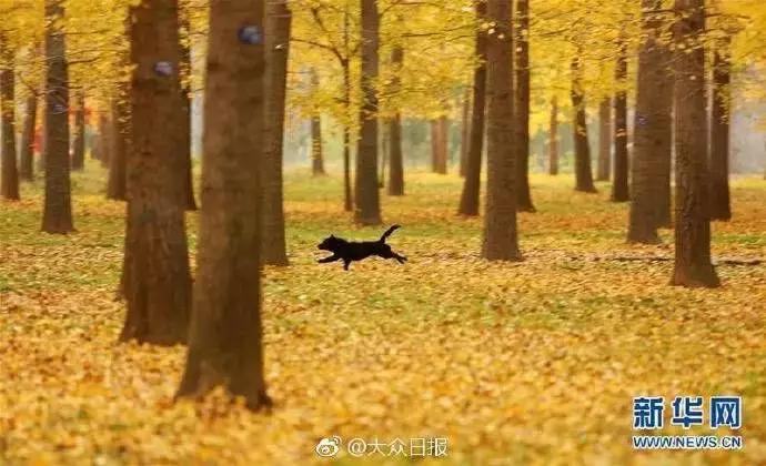 山东方言中存在的生僻字,山东生僻地名