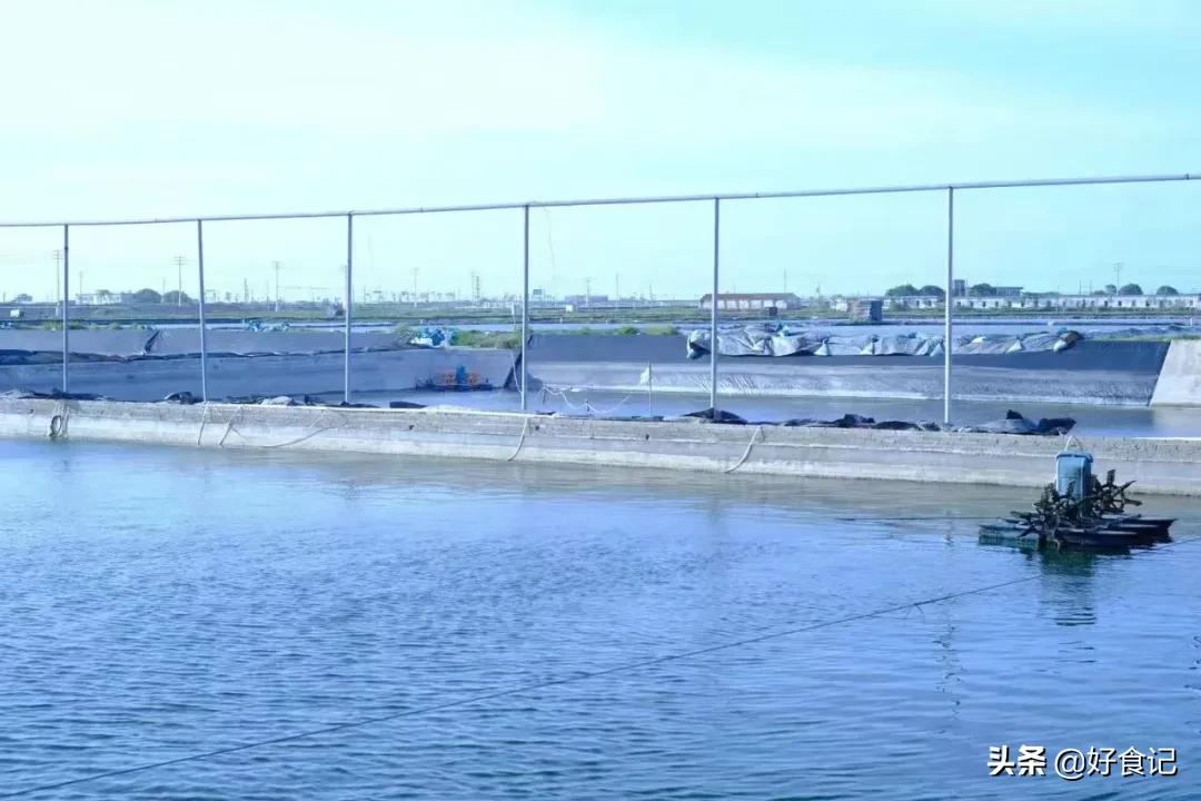 一年8亿，两年冲刺20亿，什么成就了黑马逮虾记