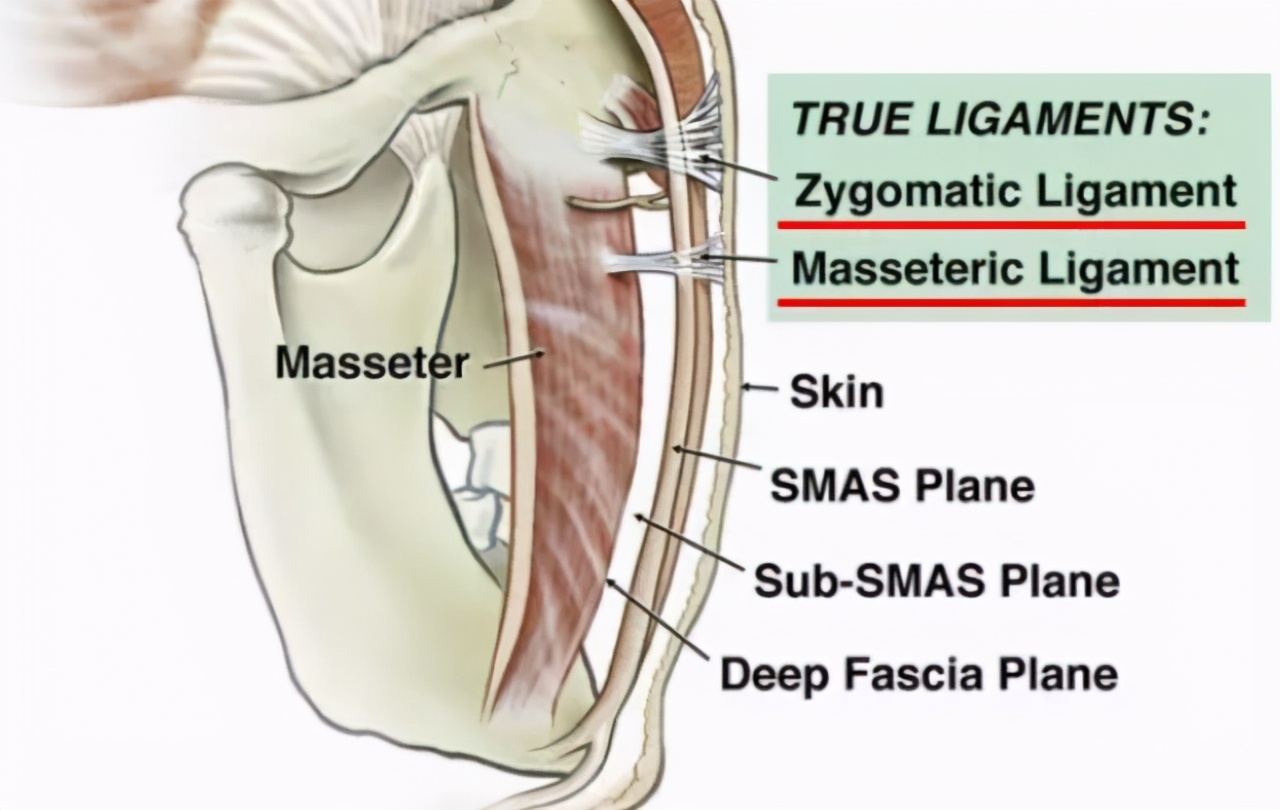 面部除皱手术原理都有哪些呢,面部除皱术发展史